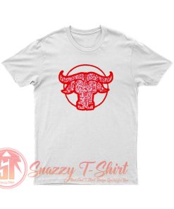 Dior x Shawn Stussy Chinese New Year T Shirt