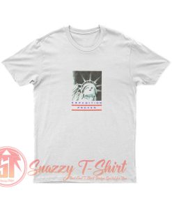 Supreme The North Face Statue of Libert T Shirt