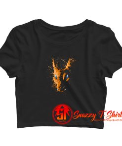 Dragon Fire Crop Top Shirt