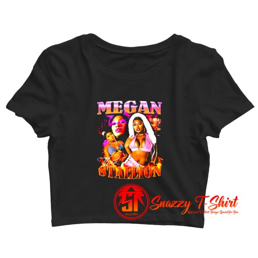 Megan Thee Stallion Vintage inspired 90s Rap Crop Top Shirt