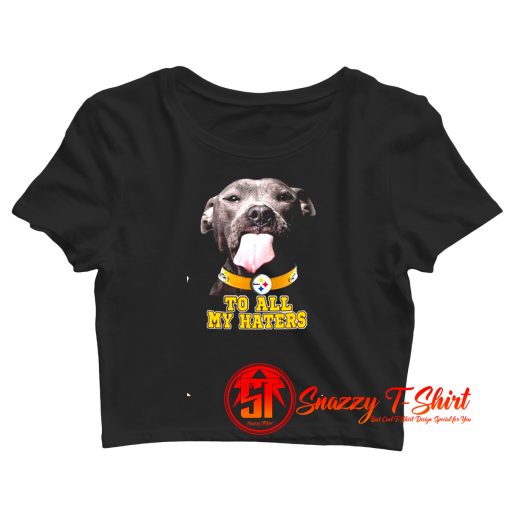 Pittsburgh Steelers To All My Haters Crop Top Shirt