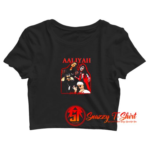 Vintage Aaliyah Dana Haughton Singer Crop Top Shirt